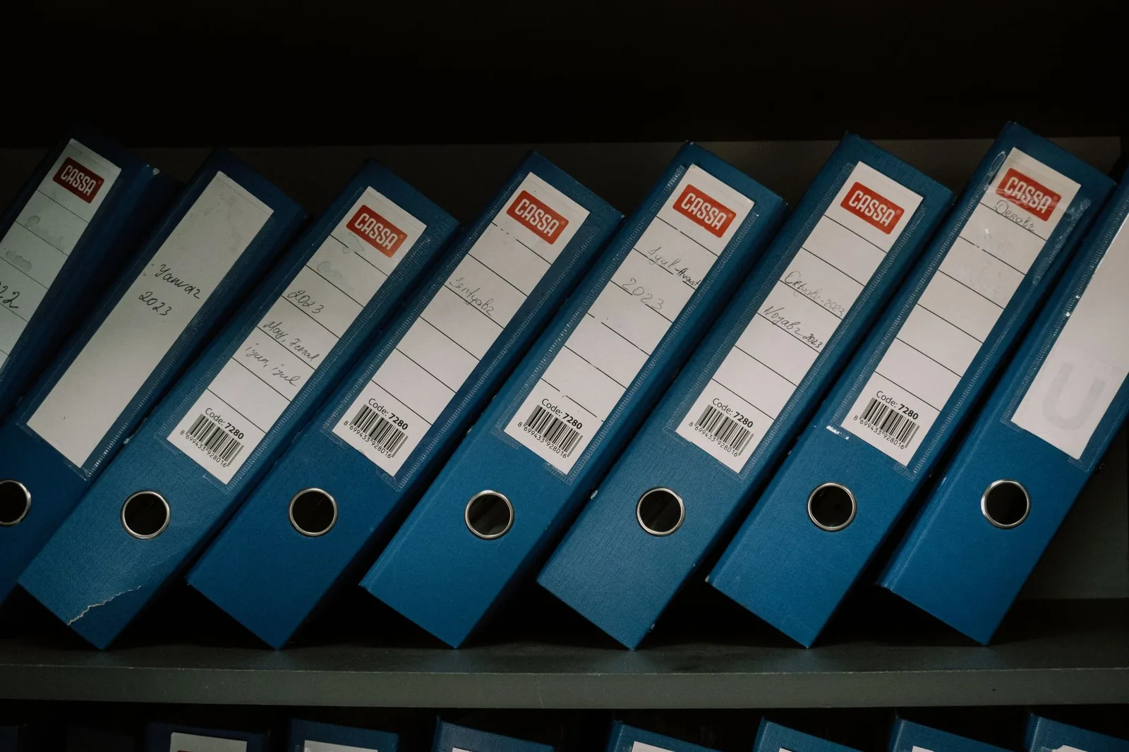 Raccoglitori ordinati su uno scaffale d'ufficio, simbolo dei documenti disponibili al download